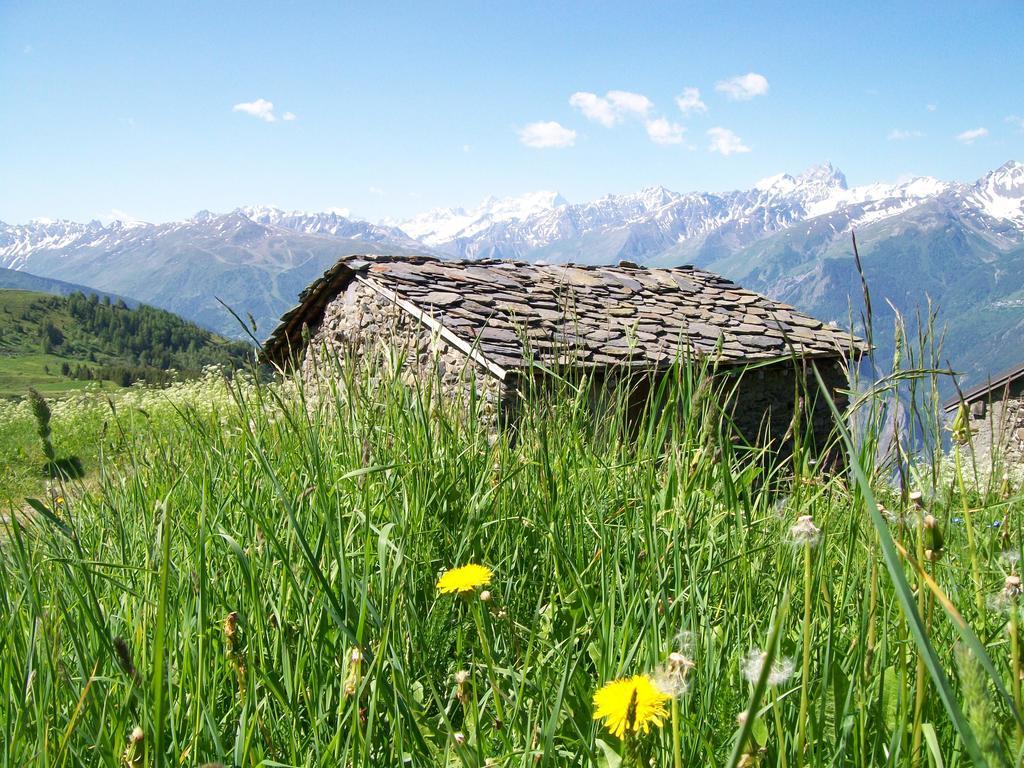 Gite Le Shantone Ξενοδοχείο Saint-Michel-de-Maurienne Εξωτερικό φωτογραφία